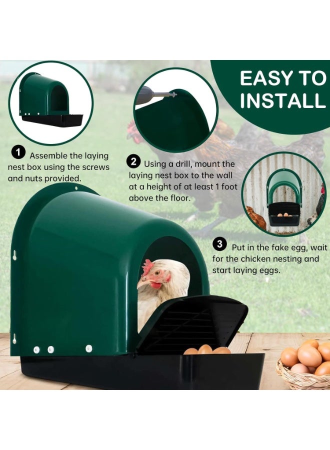 Master Gold Chicken Nesting Box for Collecting Eggs | Slanted Design to Protect Eggs from Breaking and Pollution | Durable UV Resistant | Removable Tray & Ventilation Holes for Poultry Breeding - Image 5